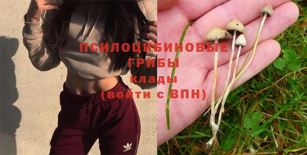 ECSTASY Бабаево