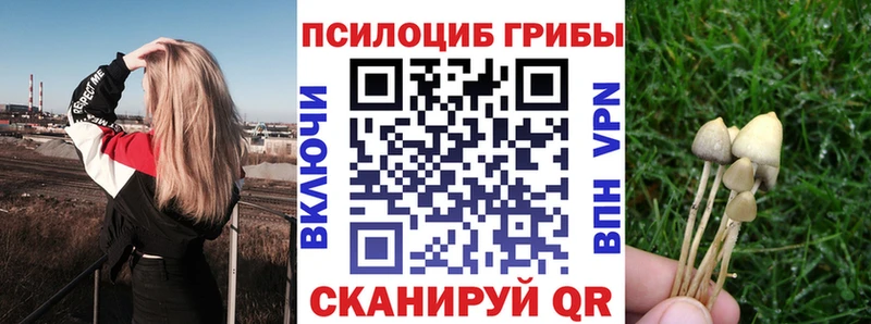 Галлюциногенные грибы прущие грибы  где можно купить наркотик  Истра 