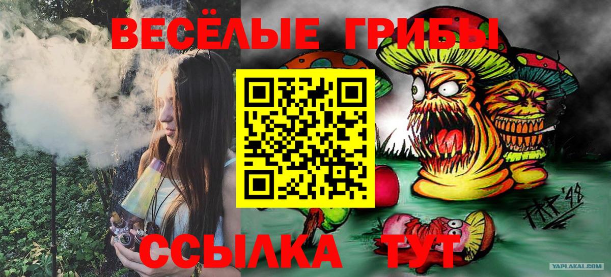Истра  наркотики  Вход с VPN  Псилоцибиновые грибы мицелий  Псилоцибиновые грибы мухоморы 